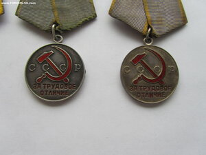 4 Тр Отличия округлое ухо.
