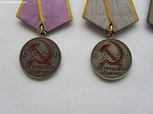 4 Тр Отличия округлое ухо.
