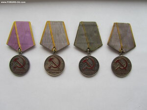 4 Тр Отличия округлое ухо.