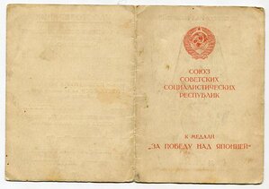 Япония + док