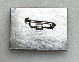 Знак 25 лет ВВМУПП им.Ленинского комсомола.