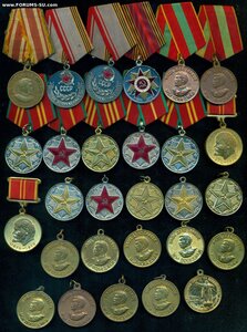 солянка медальная