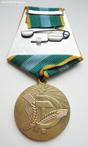 Нечерноземье