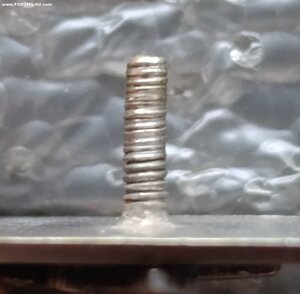 Выставка собак Фрунзенского района Призовой знак МОО 1934 г.