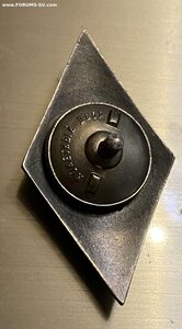 ГОСУНИВЕРСИТЕТ( 11республик)_____в серебре