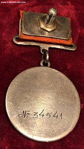 ЗБЗ-КВАДРО-ШТИХЕЛЬ-НОЯБРЬ 1941