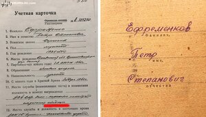 ОТВАГА СНАЙПЕРА НА ДОКЕ