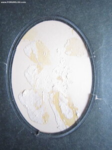 Старинный альбом из шагреневой кожи с золотым обрезом.