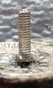 Знак 126-го пехотного Рыльского полка