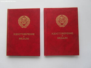 Отвага и БЗ ННГ в 1985. ОВ 1 ст. юб и Германия. с доками.
