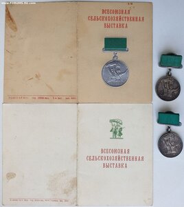 Две разные малые ВСХВ с документами на одного