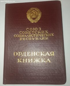 Док Трудовик 518151.