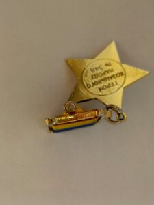 Відзнака у футлярі Герой козацького народу № 348