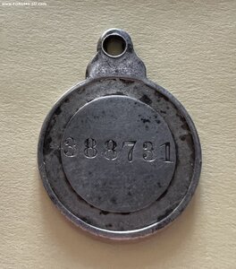 ЗооСА 388731 в качестве!