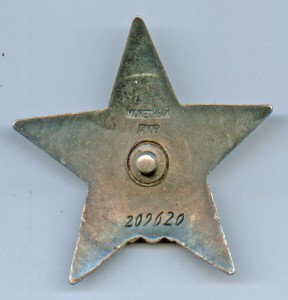 КЗ пятка, 209620