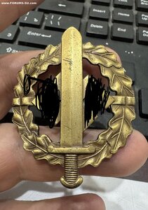 Спортивный знак в бронзе. Норма?