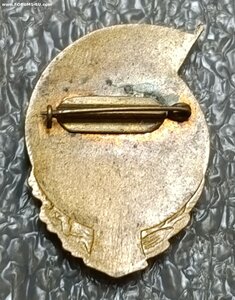 Спартакиада ЛенВО чемпион футбол