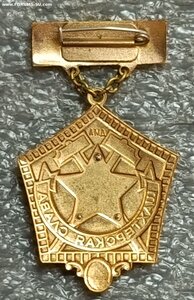 Шахтерская Слава I степени ЛМД