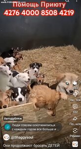 ПОМОЩЬ ПРИЮТУ!