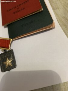 ЛОТ: трудовик, збз , две юбилейные отечки