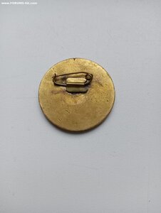 знак Ударник пионерского движения