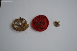 ЗНАК ОБЩЕСТВА ДРУЗЕЙ ВОЗДУШНОГО ФЛОТА в ЗОЛОТЕ с документом