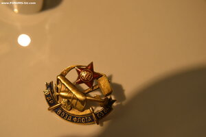 ЗНАК ОБЩЕСТВА ДРУЗЕЙ ВОЗДУШНОГО ФЛОТА в ЗОЛОТЕ с документом
