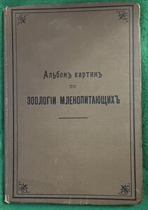 Два альбома картин по зоологии млекопитающих и птиц 1899 г