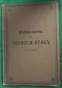 Два альбома картин по зоологии млекопитающих и птиц 1899 г