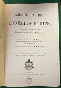 Два альбома картин по зоологии млекопитающих и птиц 1899 г