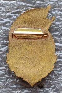 Спартакиада ВВС СКВО 3 место футбол