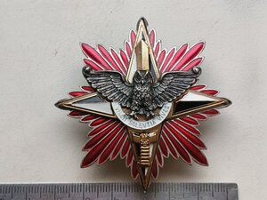 Нагрудний знак «Зірка Слави» I ступеня ГУР УКРАЇНИ, RRR