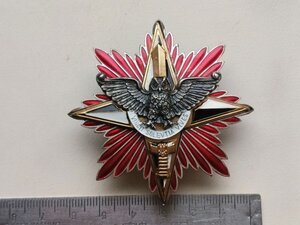 Нагрудний знак «Зірка Слави» I ступеня ГУР УКРАЇНИ, RRR