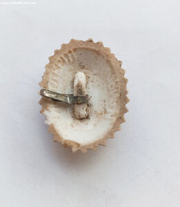 Кокарда чиновника МПС фарфоровая