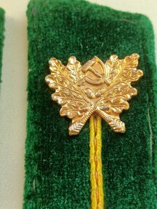 Петлицы ,СССР, НАЧАЛЬСТВУЮЩИЙ СОСТАВ  ЛЕСНОЙ  ОХРАНЫ