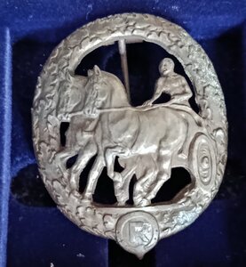 Знак наездника