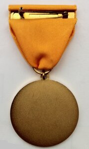 США. Мичиган Медаль за службу