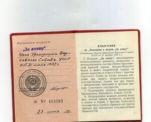 За Отвагу. Партизан.