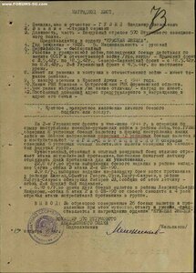 Вена на воздушного стрелка 190 гв. штурмовой авиаполк