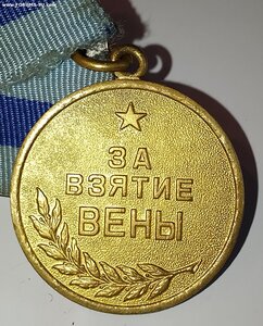 Вена Военная ( 1Вар ).