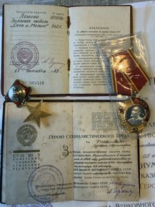 Комплект ГСТ.