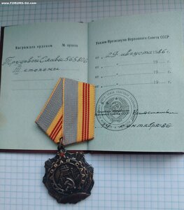 Трудовая Слава 3ст №565806+док