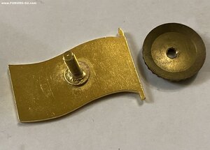 Депутатский знак ______РБ_______пробный