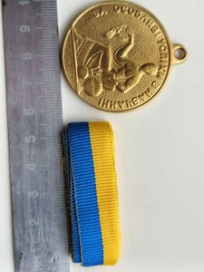 Золота шкільна медаль, ЗА ОСОБЛИВІ УСПІХИ В НАВЧАННІ