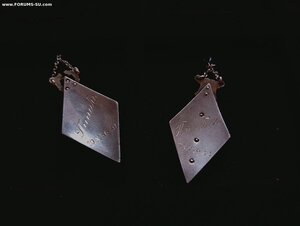 Знаки выпускника русской школы и гимназии Таллин