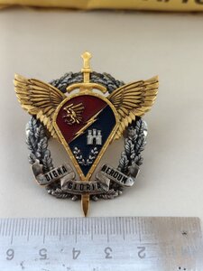 Відзнака ДШВ
