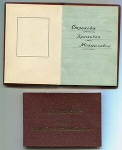 ЗП + Наставник молодежи