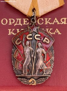 Орден Почета веточки 1523241+ док, Спитакское землетрясение