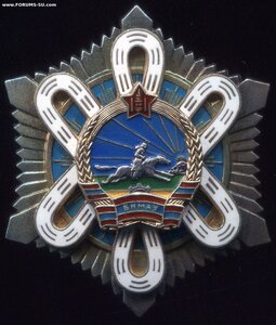 Орден Полярной Звезды № 22691