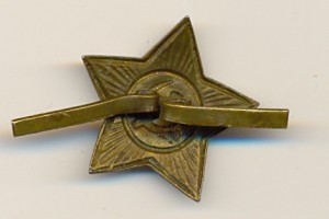 Звёздочка.Морская.